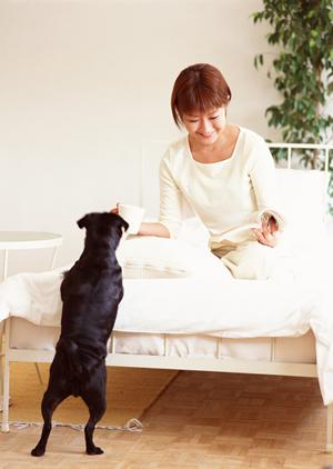 2025年版:フレブルの魅力と信頼できるブリーダー選びのポイント